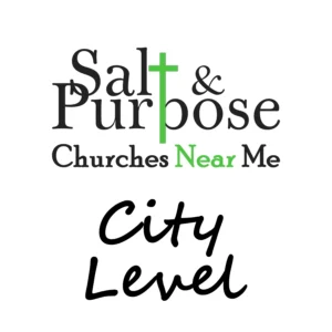 City Level