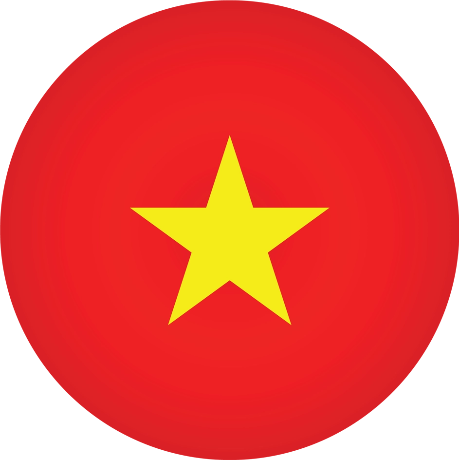Vietnamese Service Icon
